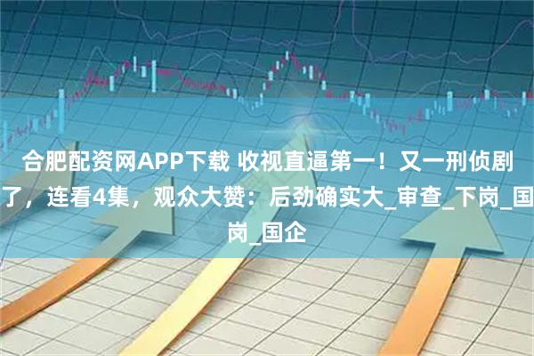 合肥配资网APP下载 收视直逼第一！又一刑侦剧火了，连看4集，观众大赞：后劲确实大_审查_下岗_国企