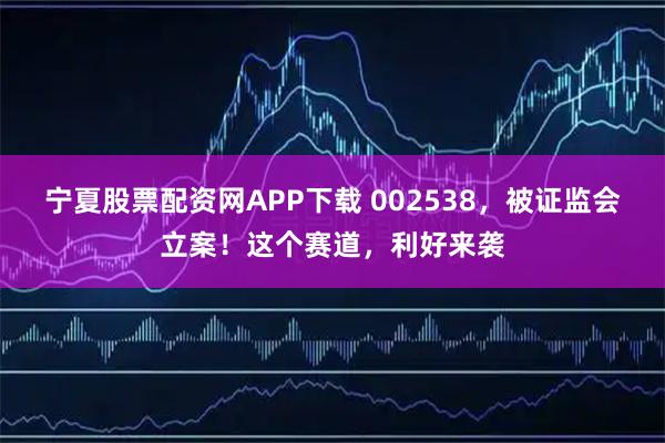 宁夏股票配资网APP下载 002538，被证监会立案！这个赛道，利好来袭